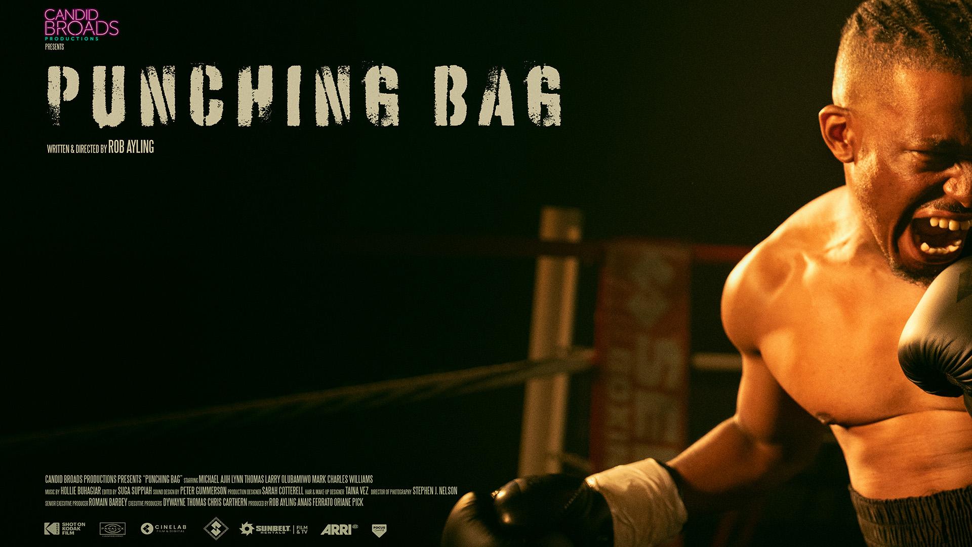 PUNCHING BAG